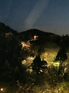 We went to a stunning location called Kiyomizudera, along with everyone else in Japan, it seems.  They do a special light up of the spot at night.  We climbed a mountain to get here (literally), and with a 20 pound baby sack hanging off you, I was a bit out of breath by the end of it.  But the view was worth it!  I would love to see it some day converted into a place to offer worship to the true God Jesus!
